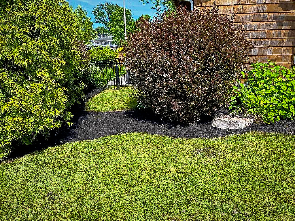 Manicured Hedge Project