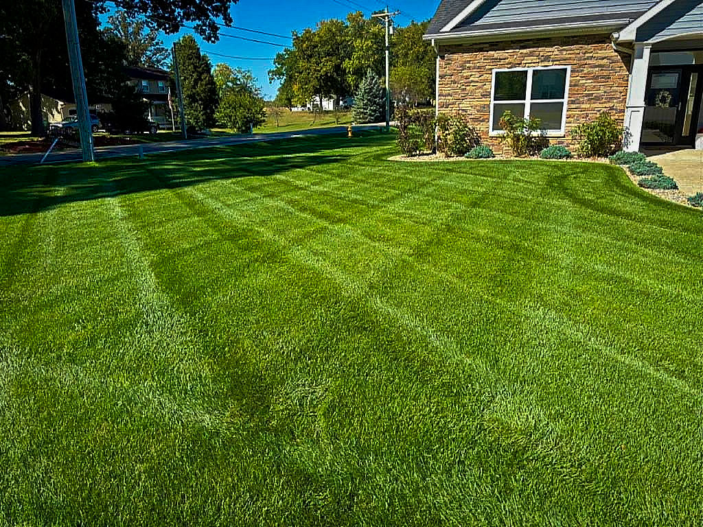 Lush Lawn Project