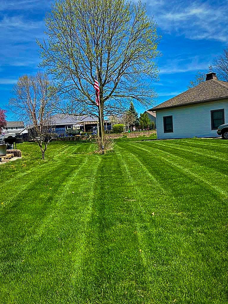 Backyard lawn transformation Warsaw Indiana