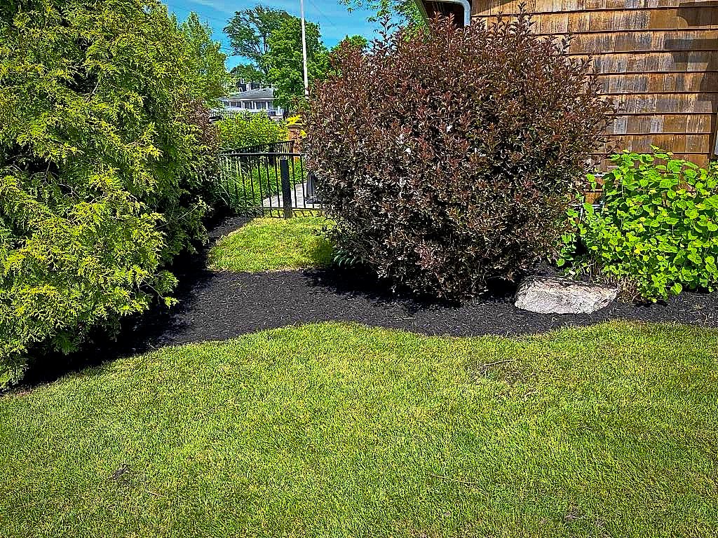 Garden bed landscaping project