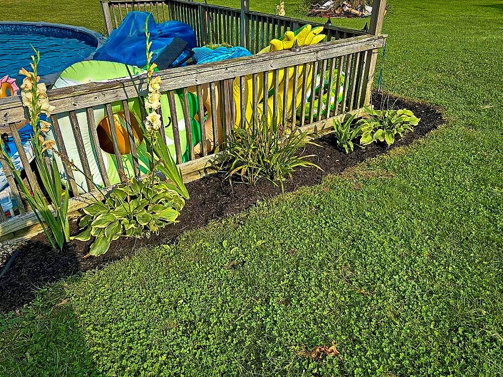 Shrub trimming and edging service